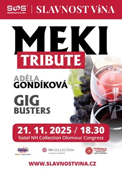 Slavnost vína 2025