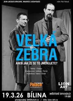 Velká zebra v Bílině