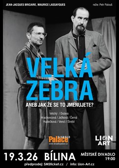 Velká zebra v Bílině