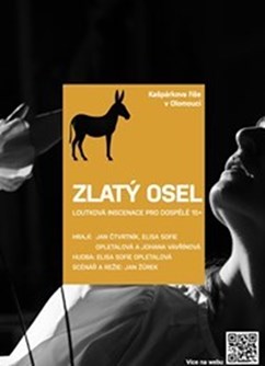 Zlatý osel