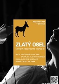Zlatý osel