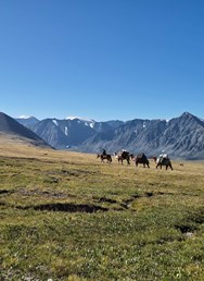 Mongolsko s velbloudama na nejvyšší horu