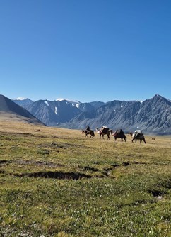 Mongolsko s velbloudama na nejvyšší horu