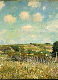 Alfred Sisley: Louka