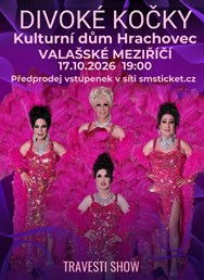 Travesti show Divoké kočky ve Valašském Meziřičí