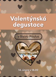 Valentýnský degustační večer