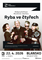 Ryba ve čtyřech Ryba ve čtyřech