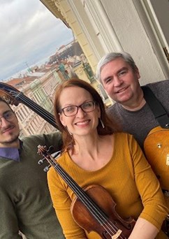 Ornis Trio // Ponava