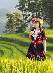 Jak a kam do Vietnamu