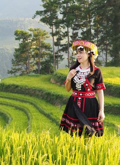 Jak a kam do Vietnamu