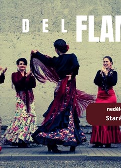 Etno Brno 2025 – Día del Flamenco Etno Brno 2025 – Día del Flamenco