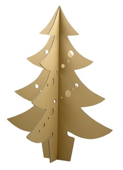 Adventní koncert - Copak medle má to znamenati?