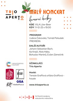 Malý adventní koncert komorní hudby