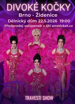 Travesti Divoké kočky v Brně