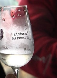 Za vínem na Podluží