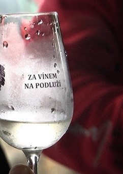 Za vínem na Podluží