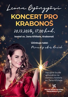 Koncert pro Krabonoš