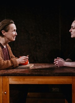 Kulturní prostor AULA: Divadlo v Celetné - Kráska z Leenane