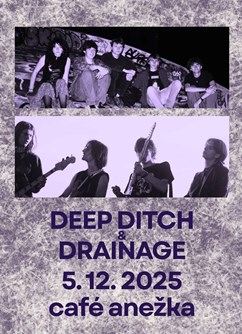 Deep Ditch & Drainage