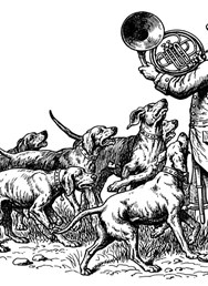 Reprezentační ples společnosti AGROWALD