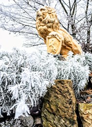 Vánoční prohlídka