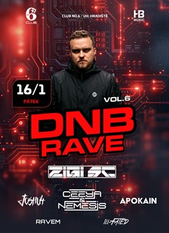 DNB RAVE vol.6