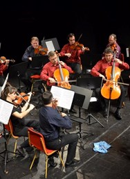 Závěrečný koncert – Camerata Janáček s hosty
