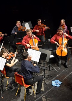 Závěrečný koncert – Camerata Janáček s hosty