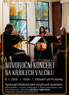 Novoroční koncert "Na křídlech valčíku"