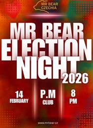 Mr Bear Czechia 2026: Election night