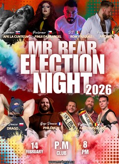 Mr Bear Czechia 2026: Election night