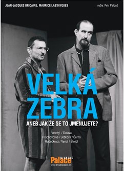 Velká zebra aneb Jak že se to jmenujete?