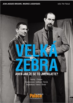 Velká zebra v Drnovicích