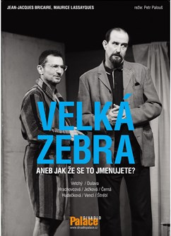 Velká zebra v Drnovicích