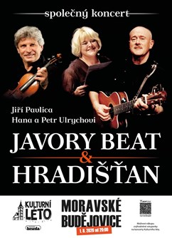 Jiří Pavlica, Hradišťan & Hana a Petr Ulrychovi, Javory Beat