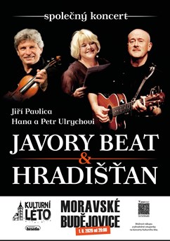 Jiří Pavlica, Hradišťan & Hana a Petr Ulrychovi, Javory Beat