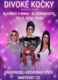 Travesti Divoké kočky Slavkov u Brna