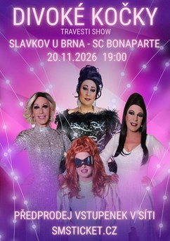 Travesti Divoké kočky Slavkov u Brna