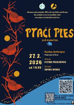 Ptačí ples