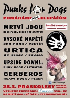 Punks for dogs
