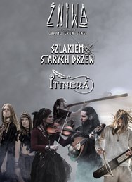 Żniwa, Szlakiem Starych Drzew a Itinera v Brně