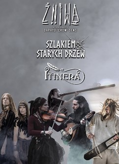 Żniwa, Szlakiem Starych Drzew a Itinera v Brně