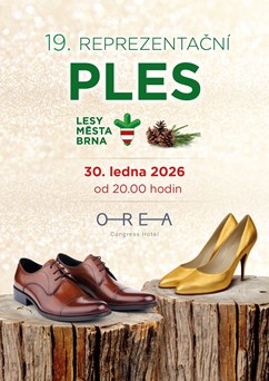 19. Reprezentační ples společnosti Lesy města Brna, a.s.
