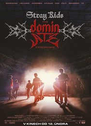 Stray Kids: The dominATE Experience  