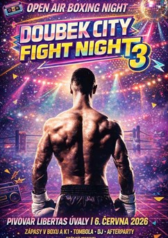 Doubek City Fight Night 3