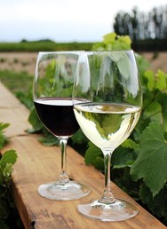 Degustace vín na zámečku