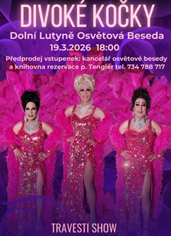 Travesti show Divoké kočky v Dolní Lutyni