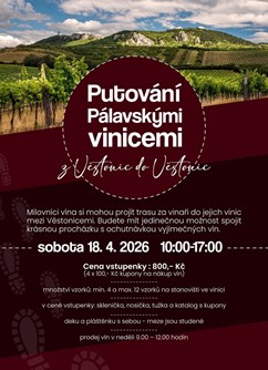 Putování pálavskými vinicemi  z Věstonic do Věstonic
