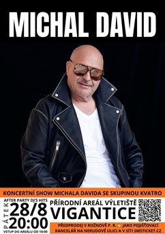 Michal David