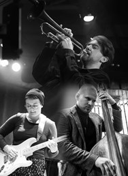 František Vaníček Trio // Ponava